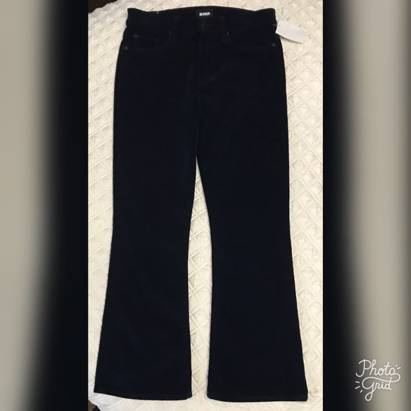 NEW Hudson Women’s Brix Velvet Cropped Pants - Picture 5 of 8